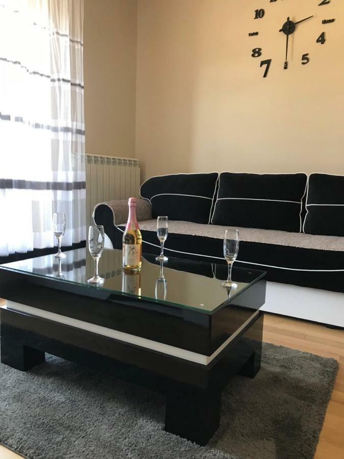 Apartman Dragisic Kalman J15,D8 ズラティボール エクステリア 写真